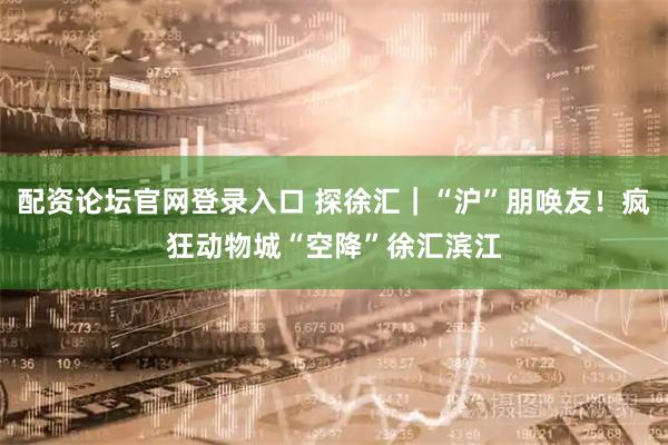 配资论坛官网登录入口 探徐汇｜“沪”朋唤友！疯狂动物城“空降”徐汇滨江