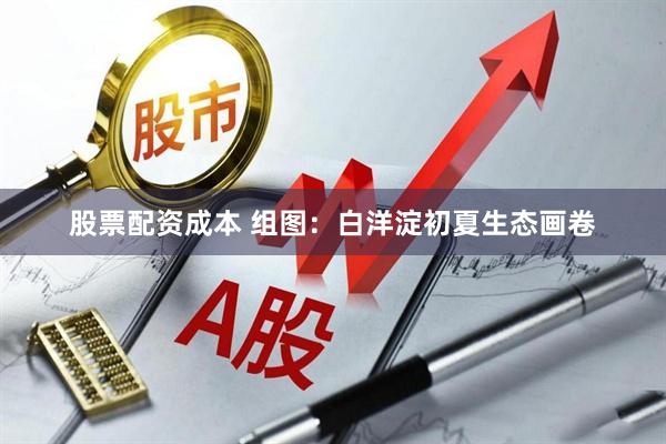 股票配资成本 组图：白洋淀初夏生态画卷